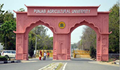 PAU Recruitment 2021: Apply for Research Assistant, Office Assistant, MIS Officer and Various Other Posts; Details Inside