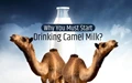 5 Surprising and Unknown Benefits of Camel Milk
