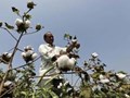 FSII Concerned about Future of Agri-Innovation in India