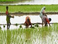 Kerala offers new short-term credit scheme for farmers