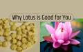 10 Amazing Health Benefits of Lotus You Should Know