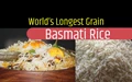 World’s Longest Grain Basmati Rice: Incredible Features and Types