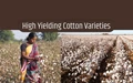 Top Varieties of Cotton in Gujarat