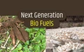 Are Tuber Crops the Next Generation Bio-fuels?
