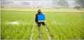 Pesticides Usage, Risks, and its Regulation in India