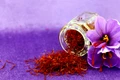 Himachal Pradesh to Begin Commercial Cultivation of Saffron