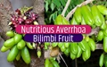 5 Amazing Health Benefits of Bilimbi Fruit