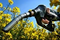 Biofuels : Socio-Economic Change Agents  in the Push for Clean Energy