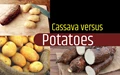 Cassava or Potatoes: Which Root Vegetable is More Healthy