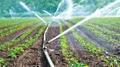Micro Irrigation in India: Present scenario, Types, Government Initiatives & Challenges.