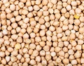 Global Chickpeas Market Likely To Show Moderate Growth In Next 4-5 Years