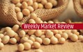 Weekly Outlook for Major Agricultural Commodity Derivatives