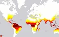 Heat Waves are Breaking All Records and Killing People across the World