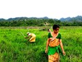 Boosting Rural Employment with Green Entrepreneurship Models