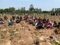 Telangana Creates World Record: Plants 1 Million Saplings in 1 Hour!