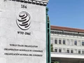 US and Japan Criticize India’s Frequent Ban on Onion Exports at the WTO