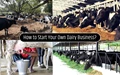 Want to Start Your Own Dairy Business? Make Sure You Read this First!