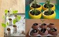Top 10 Gardening Hacks that You Must Know