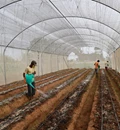 Samunnati & Kheyti Partner to Deliver Micro Greenhouses to 1 Lakh Smallholder Farmers