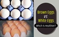 What is Healthier, Brown Eggs or White Eggs?
