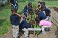 USDA Awards $12 Million in Record-Breaking Farm to School Grants