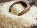 India’s Rice Exports Likely to Continue Dominating the Global Market