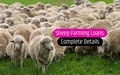 Sheep Farming Business In India: How to Get Financial Assistance