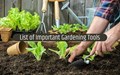 6 Most Effective Gardening Tools
