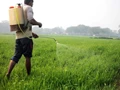 Government Likely to Ban 27 Pesticides; Check List Here