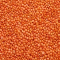 MASUR DAL (Red Lentil): Custom Duty Removed; Agriculture Infrastructure Cess Reduced to 10%