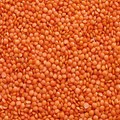 MASUR DAL (Red Lentil): Custom Duty Removed; Agriculture Infrastructure Cess Reduced to 10%