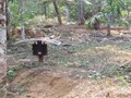 Technology to Reduce Economic Losses in Agriculture Due to Wildlife Attacks