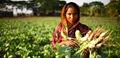 How to Start a Farm in India: A Complete Guide