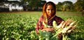 How to Start a Farm in India: A Complete Guide