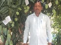 An Auto Mechanic-Turned-Farmer, Earns 50 Lakh/Year By Growing 22 Varieties of Mango