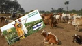 Good News: 1 Lakh Farmers to Get Pashu Kisan Credit Card before 15th Aug; Apply Now