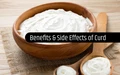 Top 5 Curd Benefits & Side Effects