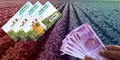 Kisan Credit Card: All PM Kisan Beneficiaries of This State will get KCC; Know Details