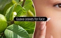 5 Amazing Benefits of Guava Leaves For Face