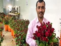 Paddy Farmer in Pune Switches To Floriculture, Earns Lakhs Every Year