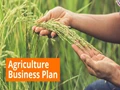 How to Start an Agribusiness from Scratch