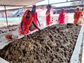 Cow Dung Products Made by Rural Women in Chhattisgarh Available at Amazon & Other Online Websites