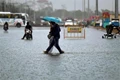 Weather Warning: Heavy Rainfall Likely over These States in Next Few Days: IMD