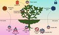 Remediating heavy metal toxicity in soil system for safe cultivation of crops: To lock or not to lock?