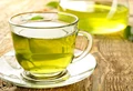 Top 10 Green Tea Brands in India