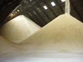 Indian Mills to Focus on Export of Raw Sugar as Brazil's Supply Declines