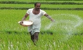 Sowing Area of Kharif crops decreased by 1.55% from Last Year: Ministry of Agriculture