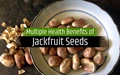 Jackfruit Seeds: A Powerhouse of Multiple Nutrients