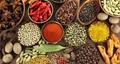 AG Thankappan Appointed as Chairman of Spices Board
