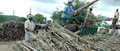 Government Support  to Sugarcane Growers